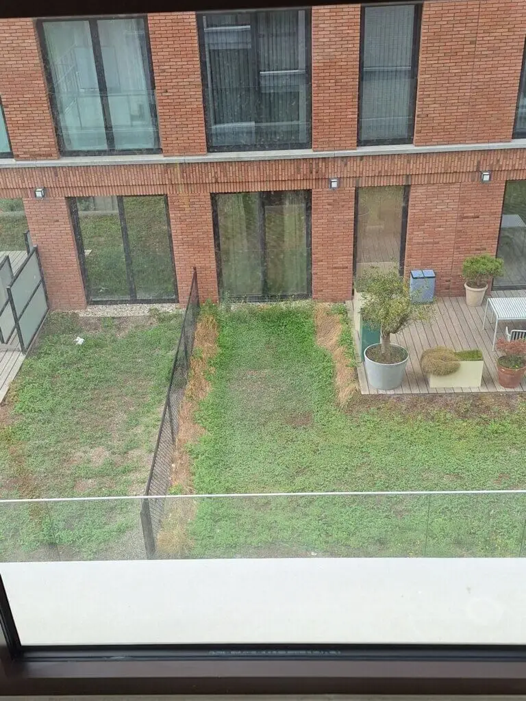 518341261_122235726482118166_5541824319668338623_n